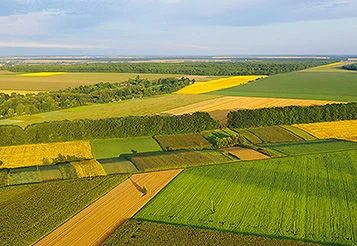 ZARC: o que é o Zoneamento Agrícola de Risco Climático?