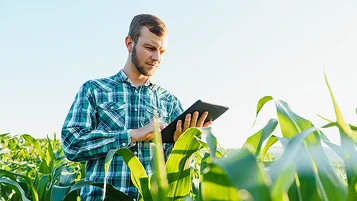 Como fazer uma gestão de riscos eficaz com o mercado futuro da soja e suas flutuações? thumbnail