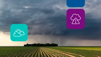 El Niño e La Niña: consequências na agricultura no Brasil thumbnail