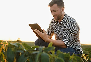 Contabilidade rural: como ela auxilia a prever riscos na propriedade! thumbnail