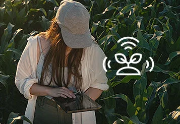 O futuro do campo em rede: saiba como a TIM reduziu em 75% o tempo de análises para atuação no agronegócio thumbnail