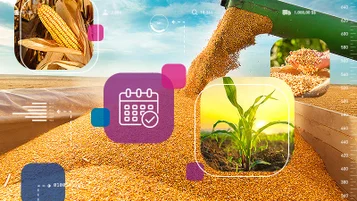 Tá chegando a hora do plantio do milho! Como monitorar as garantias do produtor? thumbnail