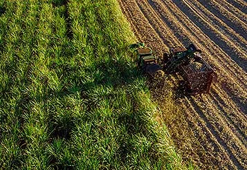 Desvende as oportunidades e desafios do Plano Safra 2025/26 thumbnail