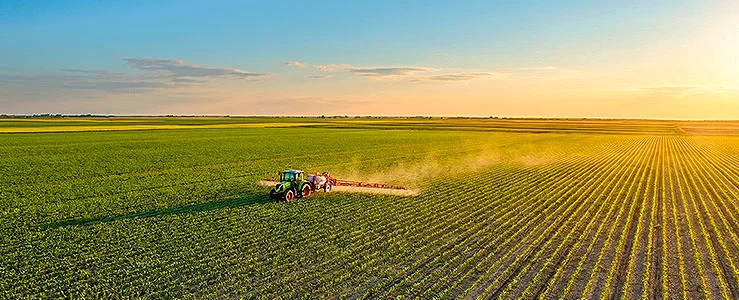 Imagem de capa