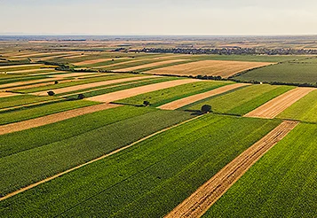 Resolução CNSP nº 485/2025: novo marco da rastreabilidade no Seguro Rural