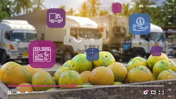 Digitalização de gestão de cargas pode reduzir em 30% custos de logística no agronegócio thumbnail