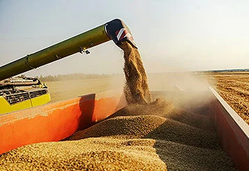 Importância do monitoramento agrícola e como prevenir riscos