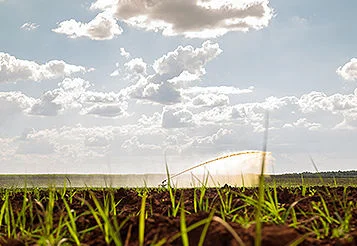 Progresso no combate às alterações climáticas: o que mostram os eventos globais que antecedem a COP30? thumbnail