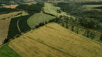 Imagens de satélites revelam: 8 em cada 10 produtores de Soja cumprem as regras de financiamento rurais thumbnail