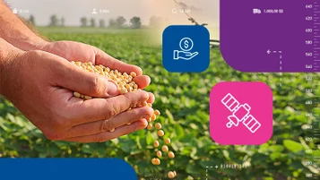 Soja: como o sensoriamento remoto apoia produtores e investidores a cumprir compliance socioambiental? thumbnail