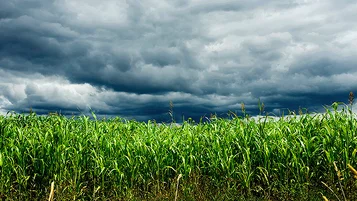 O impacto financeiro das mudanças climáticas no Brasil thumbnail