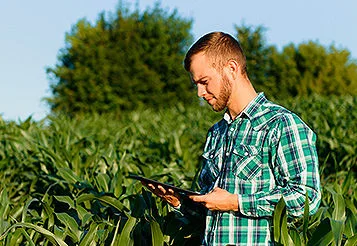 Manual de Crédito Rural: como transformar conformidade em um ativo estratégico 