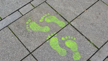 O que é pegada ecológica? Entenda o que é e como reduzir thumbnail