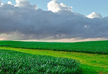 El Niño na safra 2026/27: impactos na agricultura no Brasil