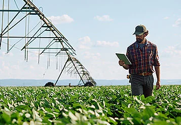 Inadimplência no agronegócio cresce e atinge 8,8% no 1º trimestre de 2026