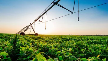 Como a renegociação de dívidas impacta o mercado de crédito rural no Plano Safra 24/25 thumbnail