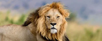 Cinco benefícios de declarar seu Imposto de Renda com antecedência thumbnail