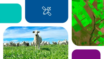 Como o sensoriamento remoto ajuda na conversão de pastagens thumbnail