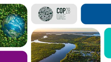 Mercado de carbono e COP28: veja o conceito e atualizações thumbnail