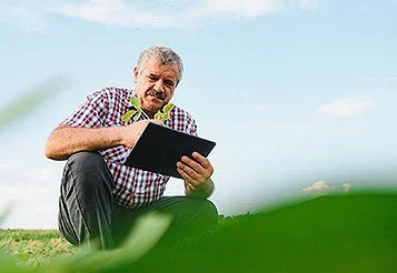 SNCR: o que é o Sistema Nacional de Crédito Rural?