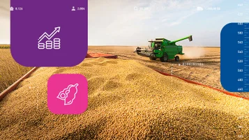 Soja: cultivo está presente em 48,5% dos municípios brasileiros thumbnail