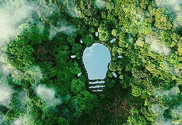 Taxonomia sustentável brasileira e o crédito: o guia do credor para evitar o greenwashing e acessar linhas estrangeiras