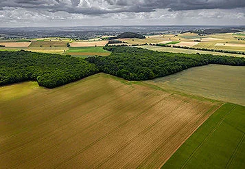 Excedente de reserva legal: oportunidades de financiamento para quem preserva