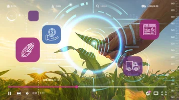 Carrefour: blockchain garante 100% de rastreabilidade nas marcas próprias thumbnail