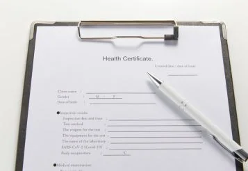 Atestado falso é crime? Entenda os riscos e impactos thumbnail