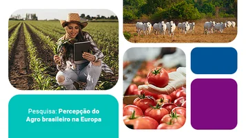 Estudo: Percepção do Agronegócio Brasileiro na Europa thumbnail