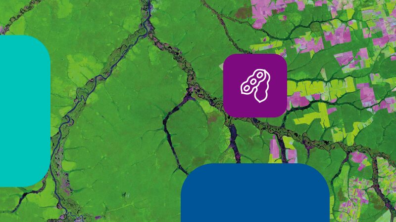 Análise da Soja no bioma Amazônia: entenda o impacto ambiental e a dinâmica de uso da terra