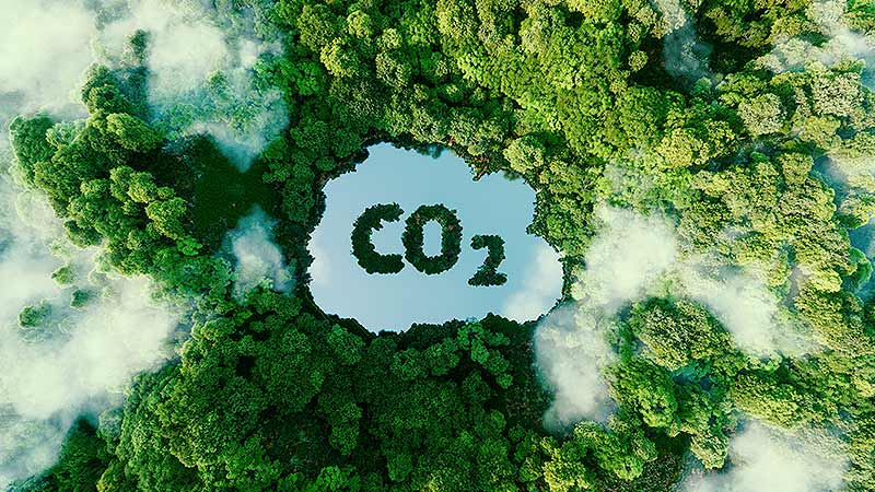 Benefícios de conceder crédito para quem tem crédito de carbono