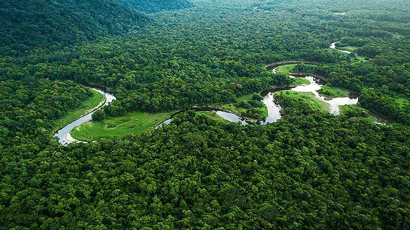 COP 30 na Amazônia: oportunidades e desafios para a concessão segura de crédito rural no Brasil
