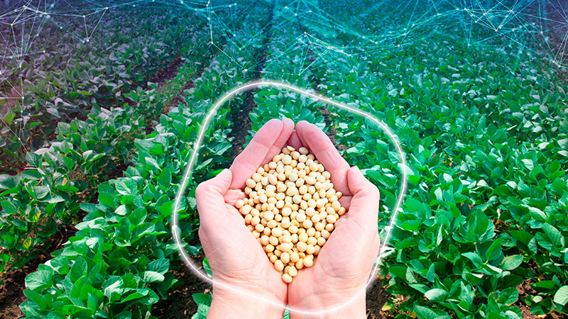 Thubmnail Entenda como produtores rurais captaram R$ 83 milhões em operação de crédito com auxílio da plataforma e de soluções agro da Brain Ag, empresa Serasa Experian