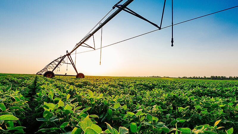 Como a renegociação de dívidas impacta o mercado de crédito rural no Plano Safra 24/25