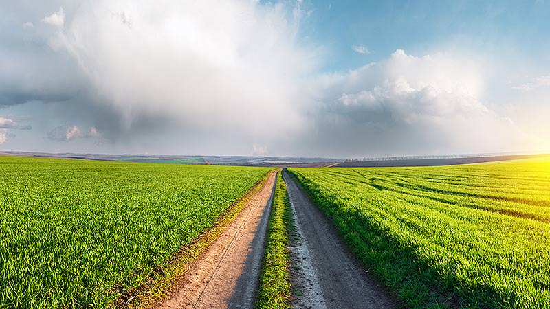 Como mitigar os impactos das mudanças climáticas no ano agrícola?