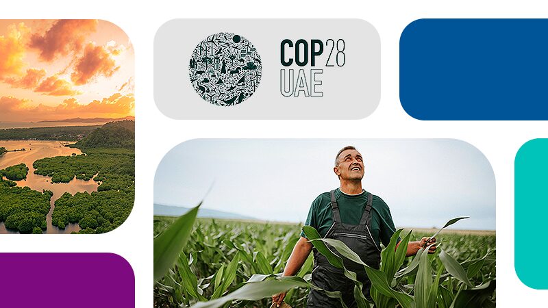 Cop 28 e como se preparar para as mudanças climáticas no agronegócio