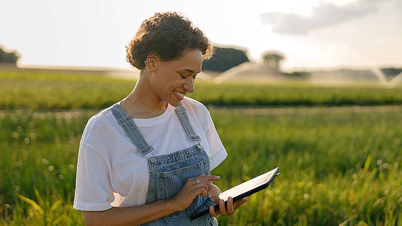Crop Monitor: monitore e atenda às exigências do Manual de Crédito Rural