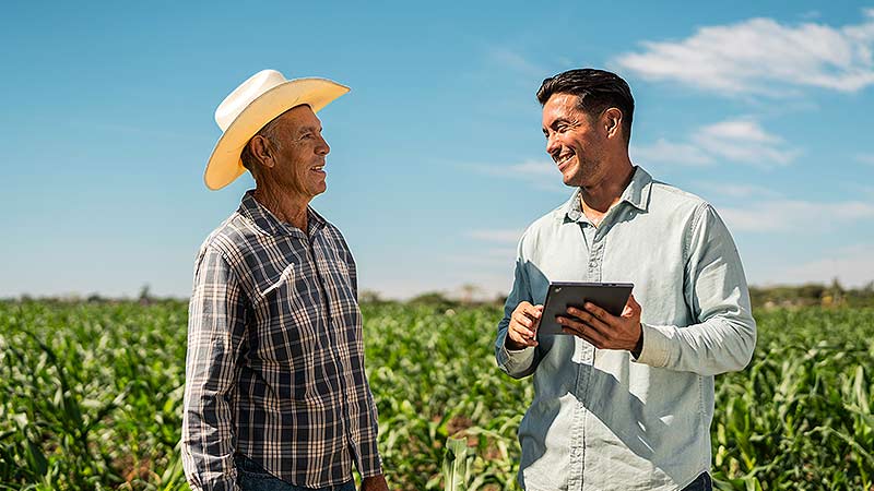 Desenrola Rural: como a renegociação de dívidas impacta o crédito rural e a segurança financeira do agronegócio?