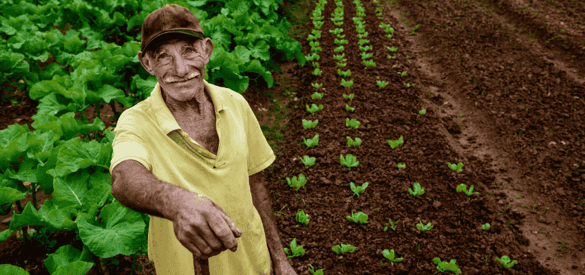 Desenrola rural: conheça a nova iniciativa do Governo!