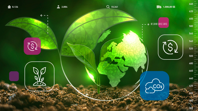 Crédito e investimentos: novas safras sustentáveis de negócios