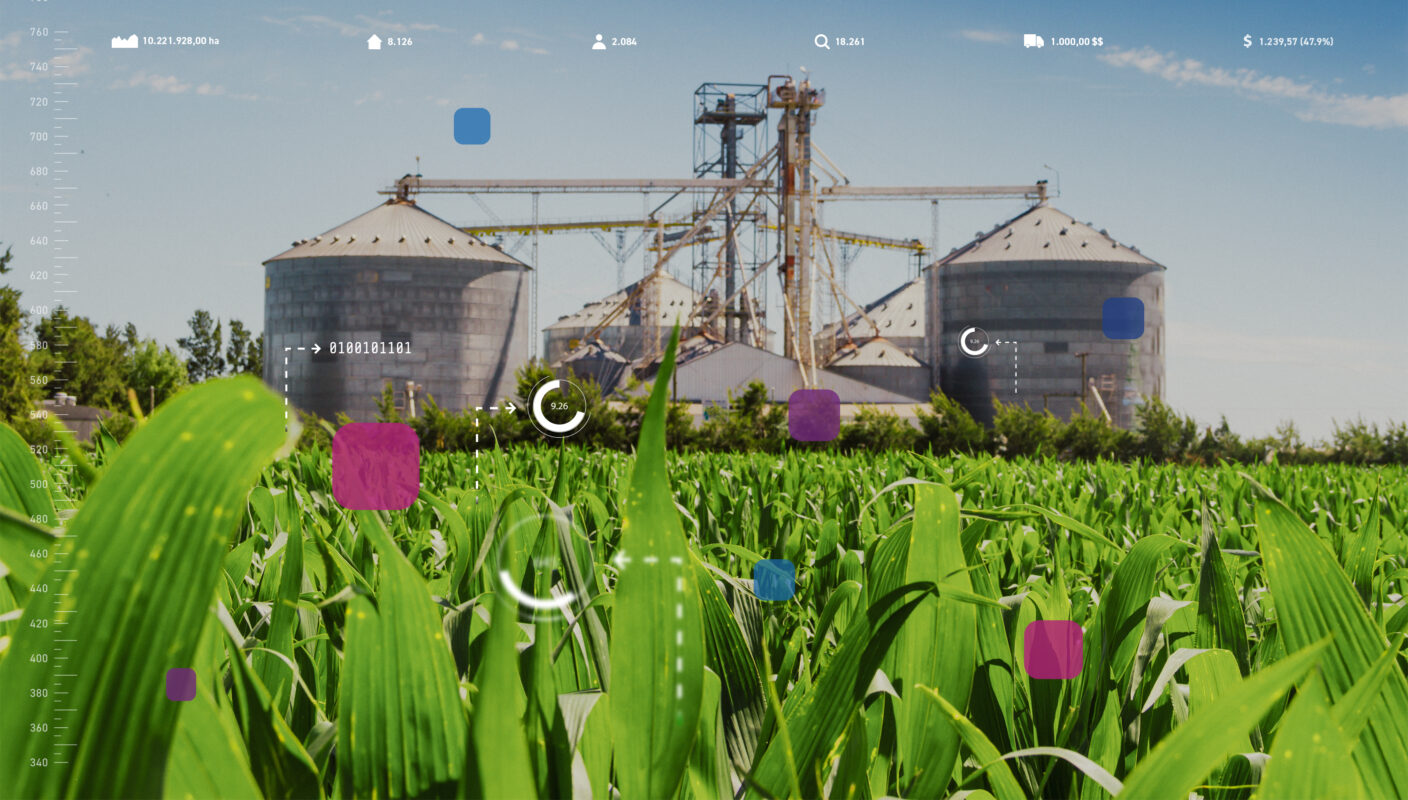 “Cenário de crédito agro é positivo, mas quebra da safra pode impactar” confira opinião de nosso especialista.