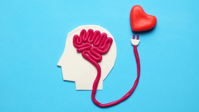 O que é inteligência emocional e por que é necessária?