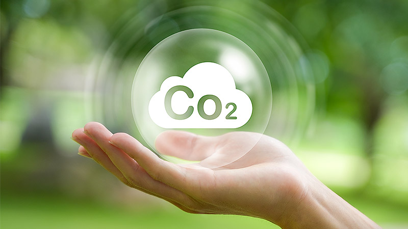 Mercado de crédito de carbono no Brasil: como é comercializado, benefícios e mais