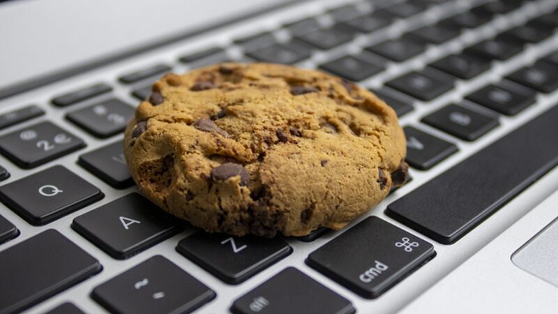 O futuro sem cookies: entenda o impacto e as novas estratégias de marketing digital