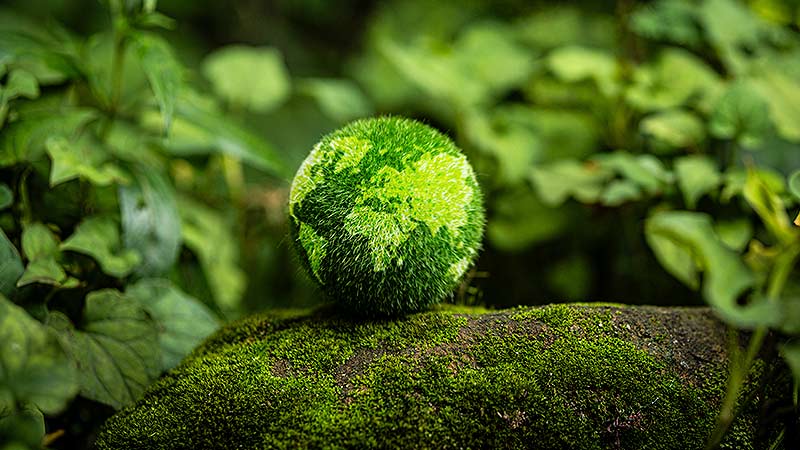 O papel dos dados no cumprimento de normas para um bom compliance socioambiental