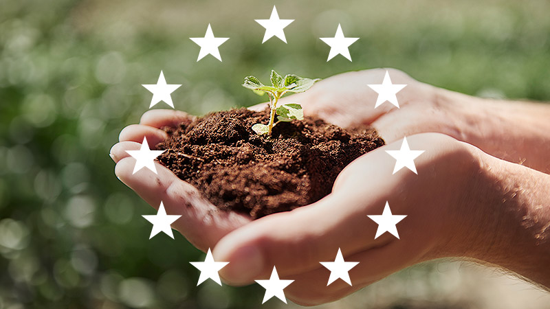 O que é o Green Deal (EUDR)? Como ele afeta o agronegócio?