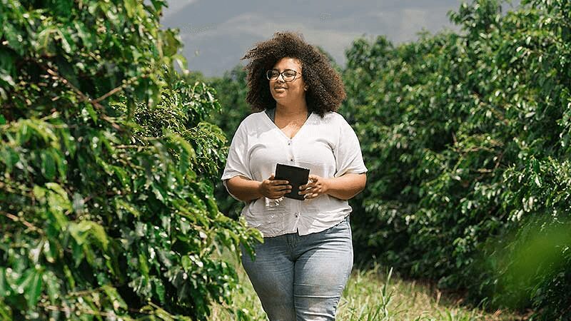 Recuperação judicial no agro em 2024: como a inteligência analítica prevê e mitiga riscos no segmento