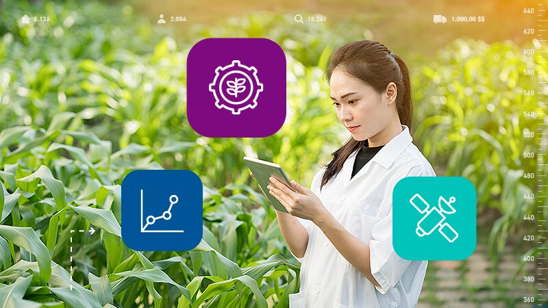 Big Data no agronegócio: descubra seu impacto no setor!