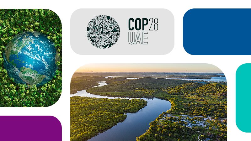 Mercado de carbono e COP28: veja o conceito e atualizações